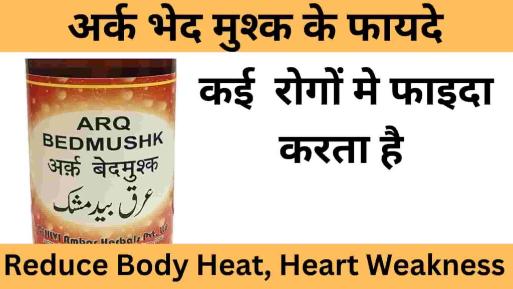 Arq-Bed-Mushk-Uses-Dosage-Side-effects-in-hindi